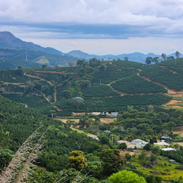 Vista de Pedra Menina: vale com lavouras de café e as montanhas do Caparaó ao fundo